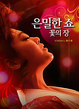 法证先锋2粤语版