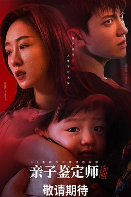 茄子视频 破解观看次数