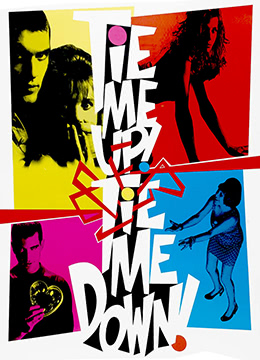 三国演义2010电视剧在线观看免费