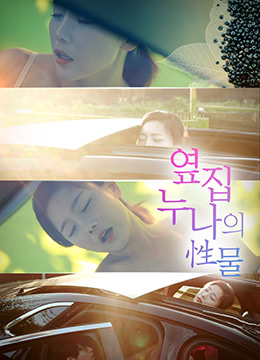 傻儿传奇之抗战到底