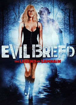 火影忍者疾风转