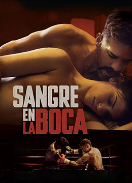 向日葵视频app下载安装