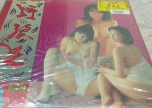 免费小说霸道总裁夜夜欢