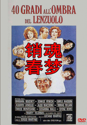 铃木里美封面番号大全