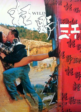 欧美大片2017黄视频大片免费