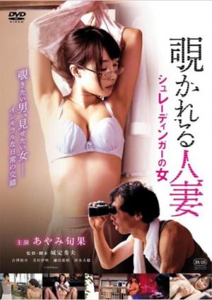 衣袖红镶边 电视剧