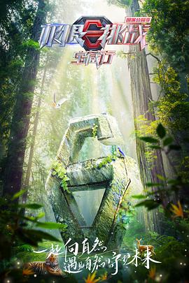 婷婷在线观看高清 在线播放