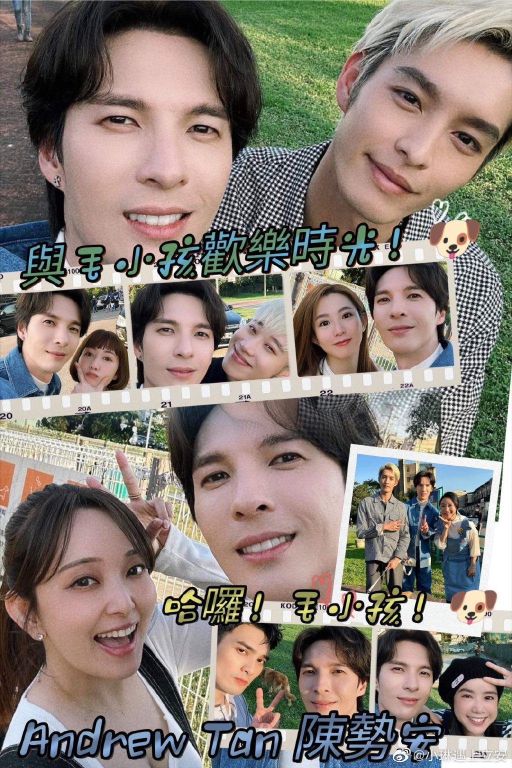 茄子视频怎么样