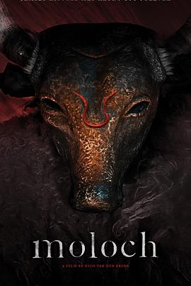 欧美 极品 视频大全