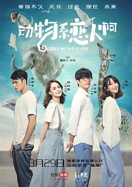 秋霞电影高清理论av