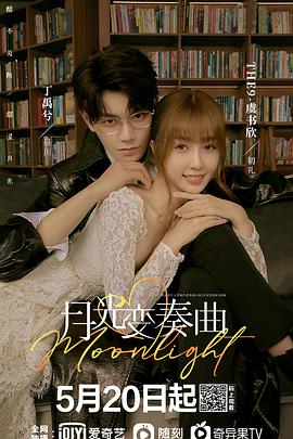 宫锁心玉电视剧