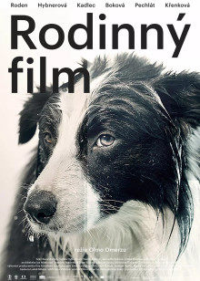 老阿姨哔哩哔哩b站肉片入口6