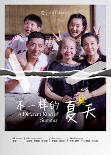 破案电视剧2017网剧