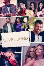 边水往事电视剧全集观看16集