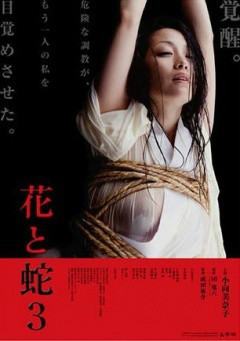 快乐星球第三部免费观看完整版电视剧