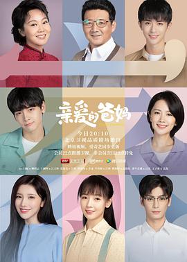 雪梨枪有关视频