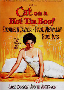 洗浴店小姐磁力链接