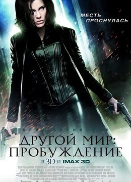 依人青青青在线观免费