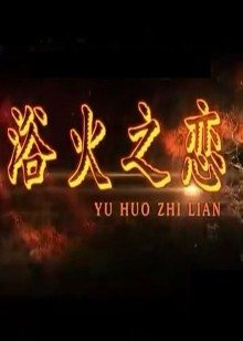 julie and julia movie online