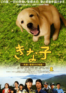 日本黄鳝无码番号