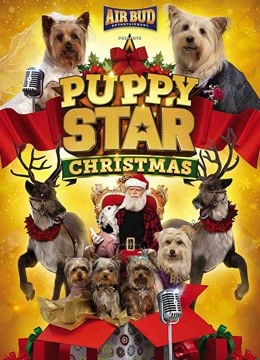 开车视频有声音超疼软件