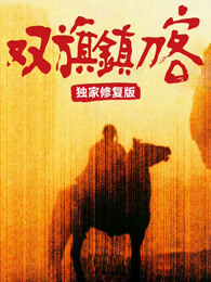 《妻子的秘密》电视剧