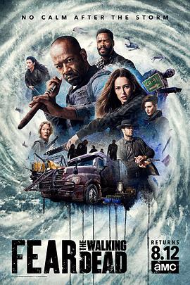 我的年轻岳坶2电影中文