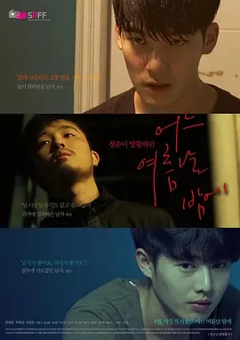 一个夏夜 어느 여름날 밤에 (2017)