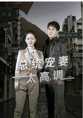 总统宠妻太高调