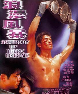 浪漫风暴（1996）