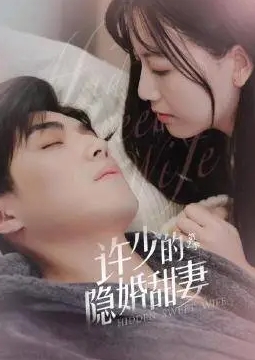 许少的隐婚甜妻 第二季
