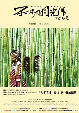 不一样的月光：寻找沙韵HD国语中字1024高清