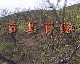 古墓奇缘HD国语中字1280高清