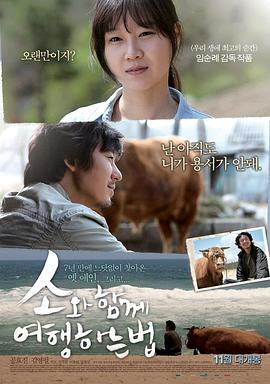 与牛一起旅行的方法