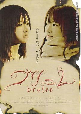 燃爱DVD中英双字