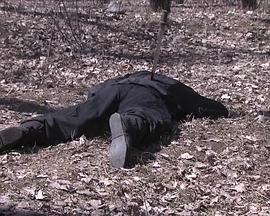 大明嫔妃之逐鹿HD国语中字1024高清