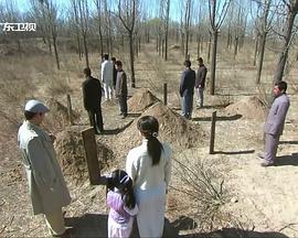 不良英雄HD国语中字1024高清