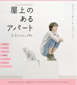 有屋顶平台的公寓