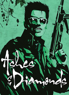 灰烬与钻石