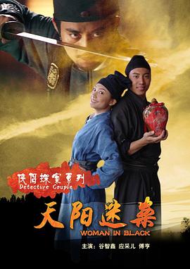 侠侣探案之天阳迷案