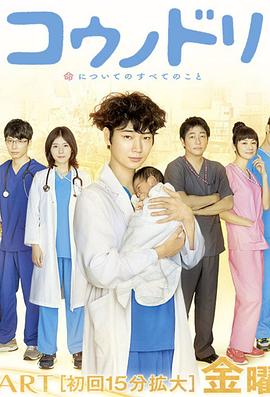 产科医鸿鸟第二季