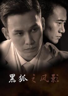 黑狐之风影第02集