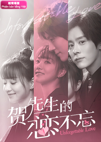 贺先生的恋恋不忘越南语版