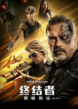 终结者：黑暗命运 国语版