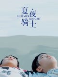 夏夜骑士(电影)