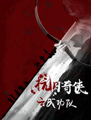 抗日奇侠之武功队(电影)