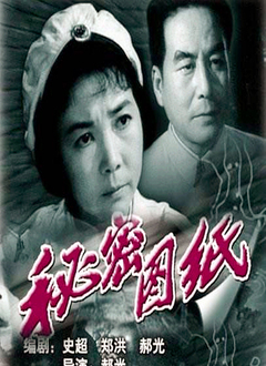 秘密图纸（1965）