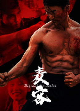 手机用什么下岛国片